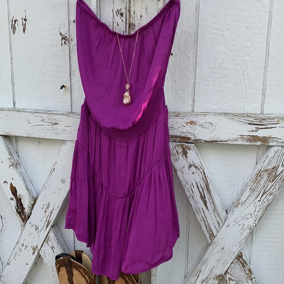 Naked Zebra - Picture 3 of 9